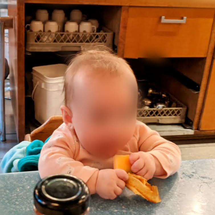 Découverte de la nourriture