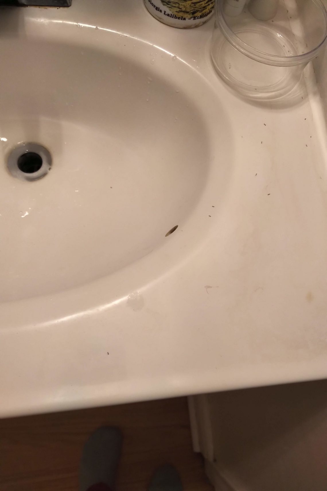 Vraiment une horreur