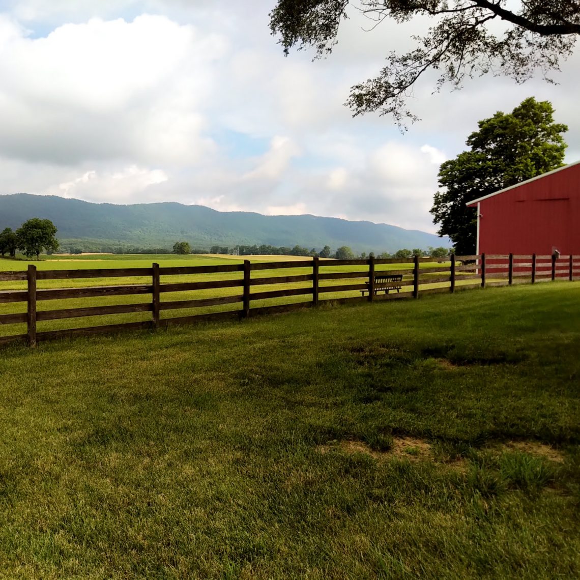 La campagne américaine