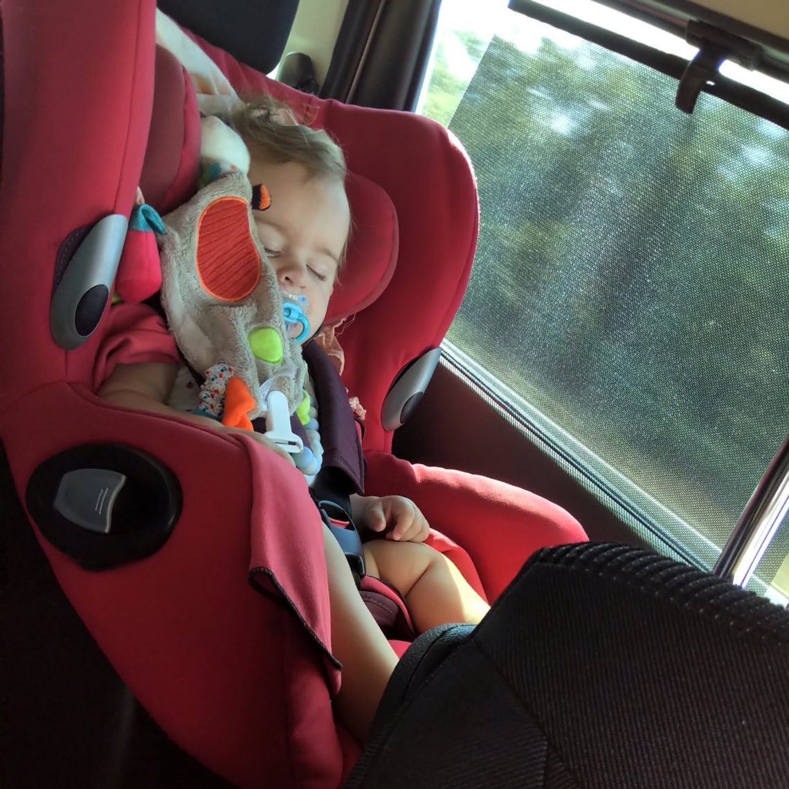 Une belle sieste en route vers la Bretagne