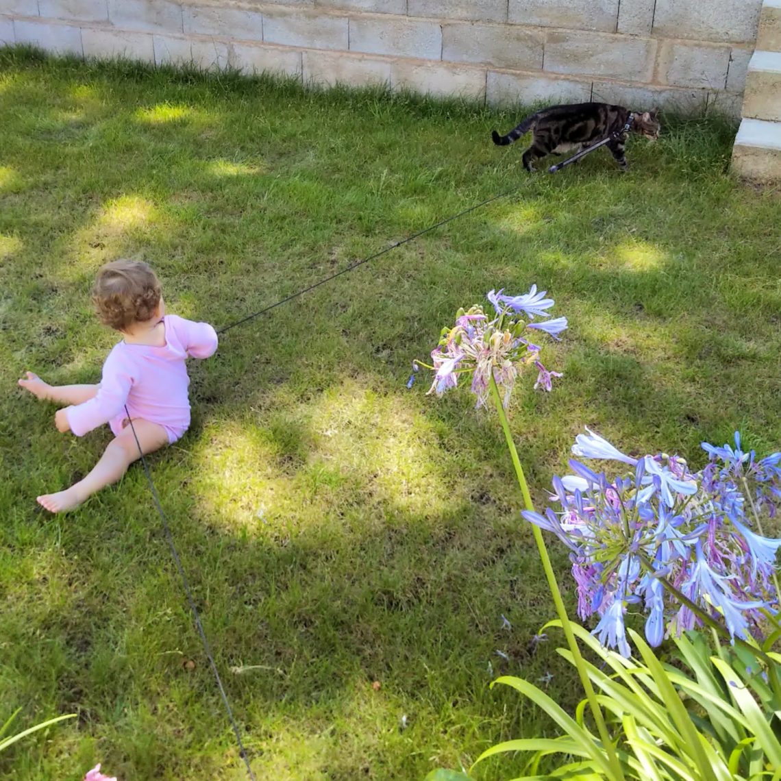 Un amour à sens unique