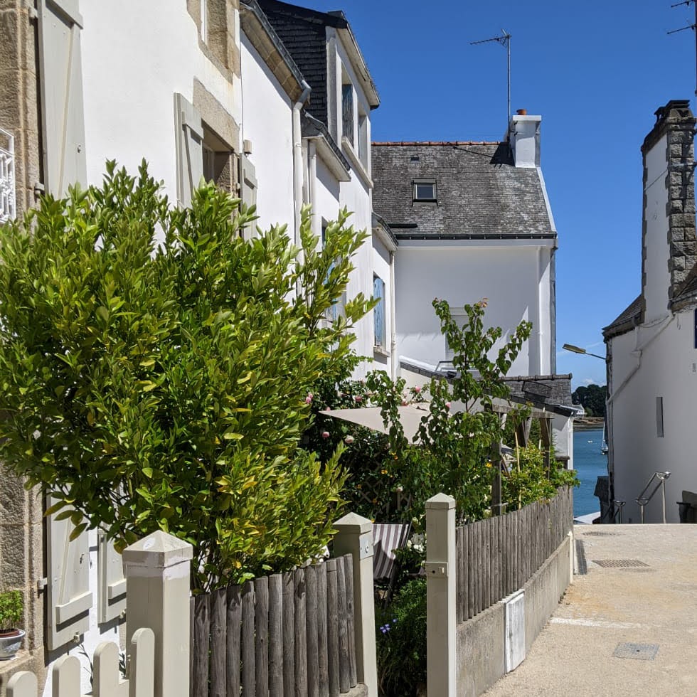 Vue sur le port de La Trinité