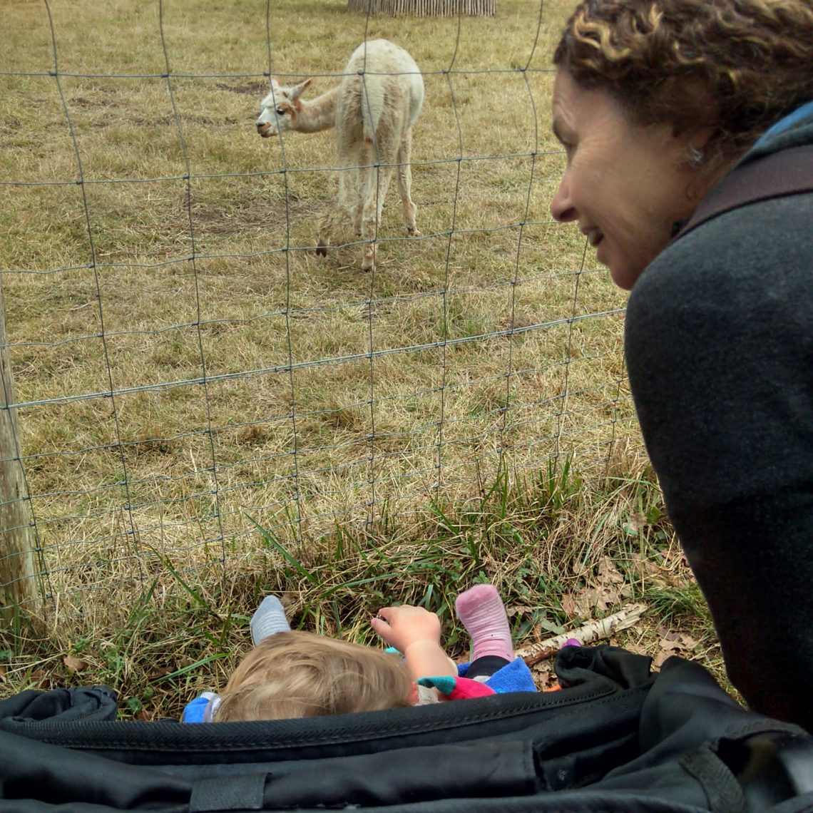A la ferme avec mamie