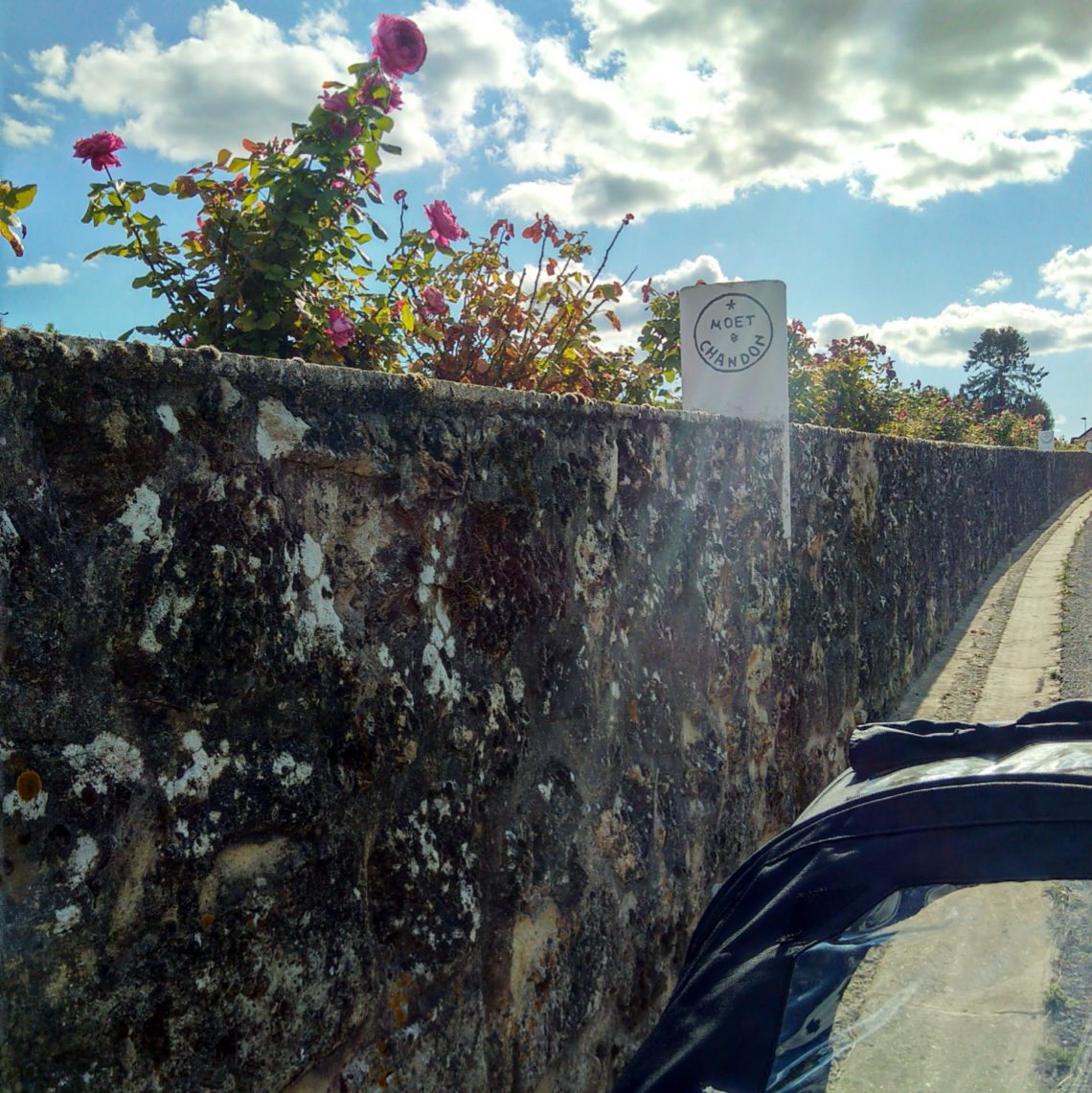 Belle lumiere sur les vignes