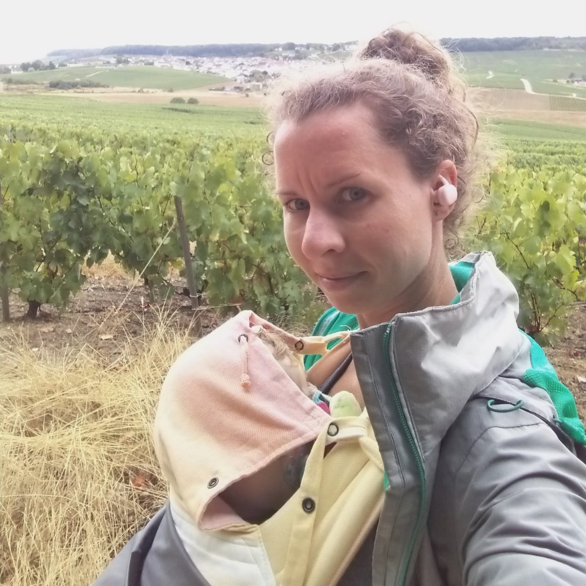 Rando dodo dans les vignes
