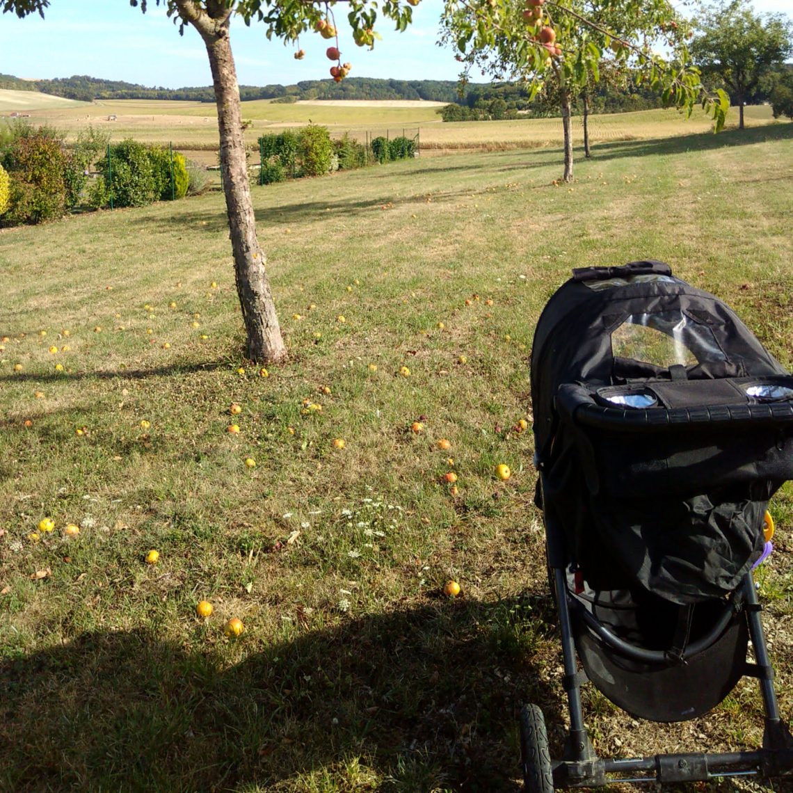 Une petite sortie poussette