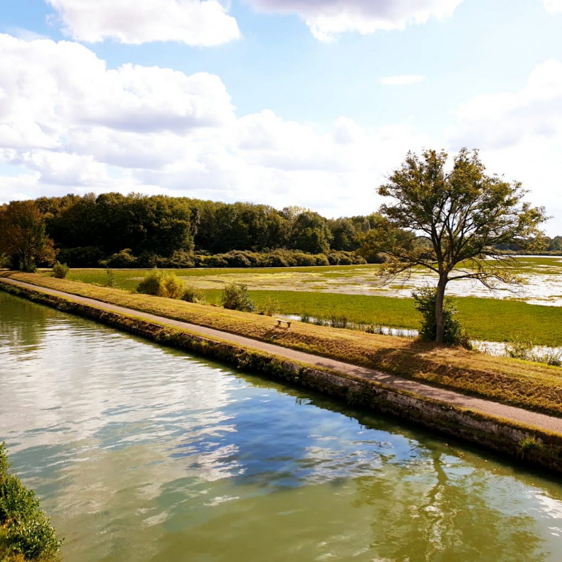 Une vue magnifique sur les canaux