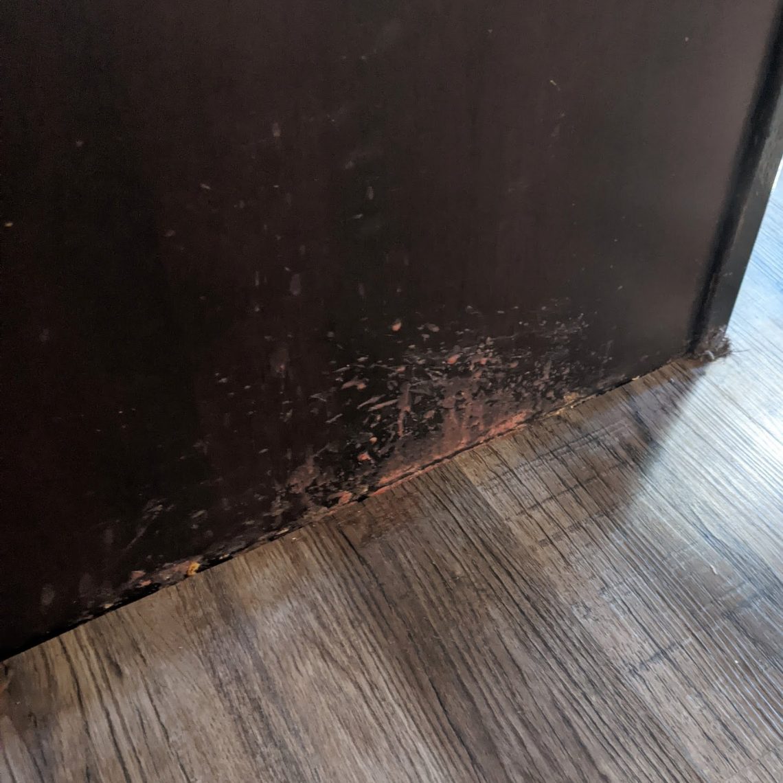 Aménager dans un logement sale