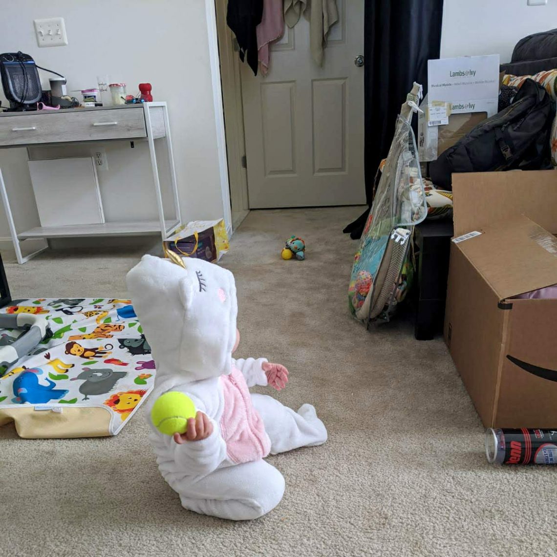 Les cartons de déménagement