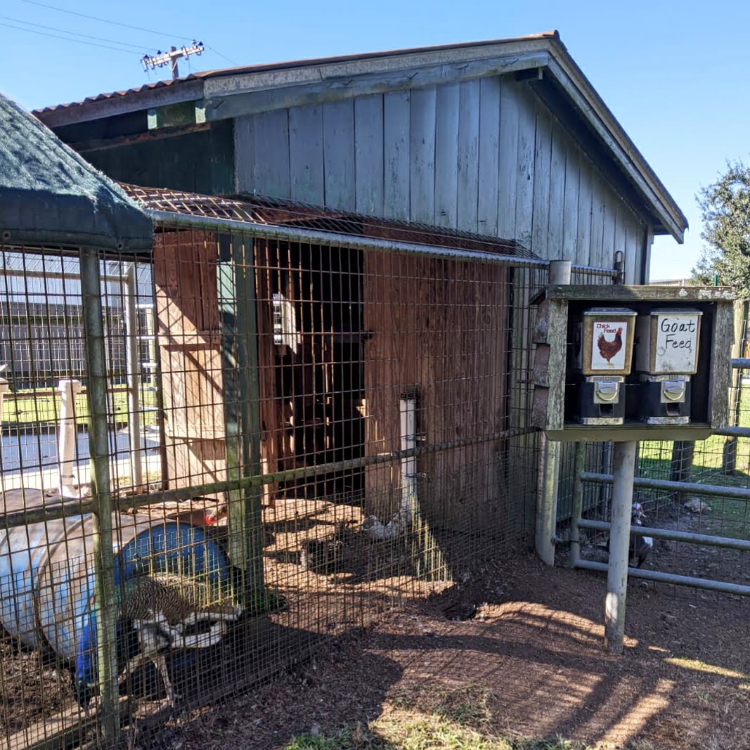Découvrir la ferme