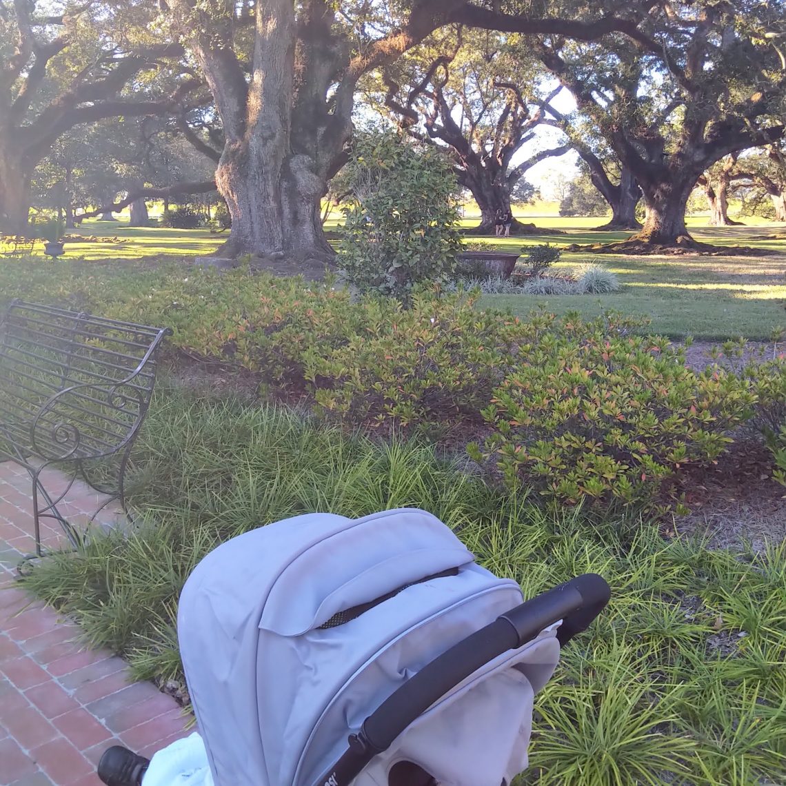 Découvrir une plantation de Louisiane