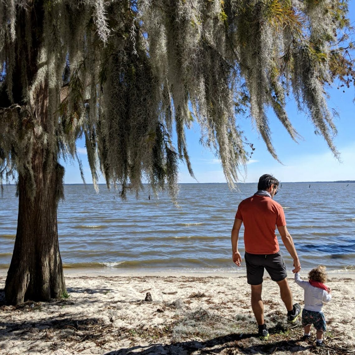 Le lac dans le bayou