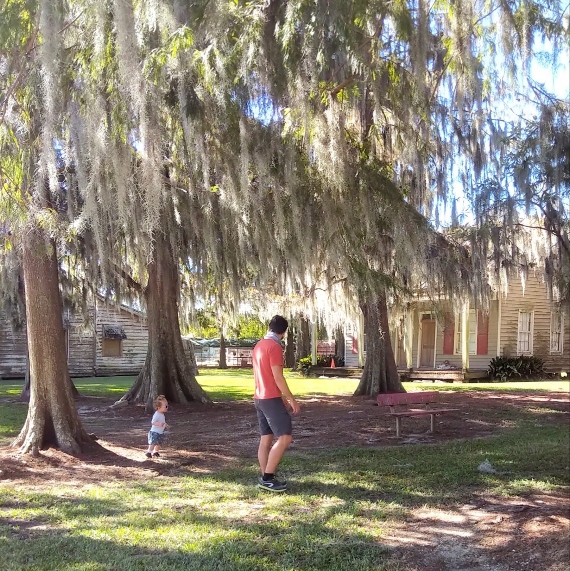 Les maisons du Bayou