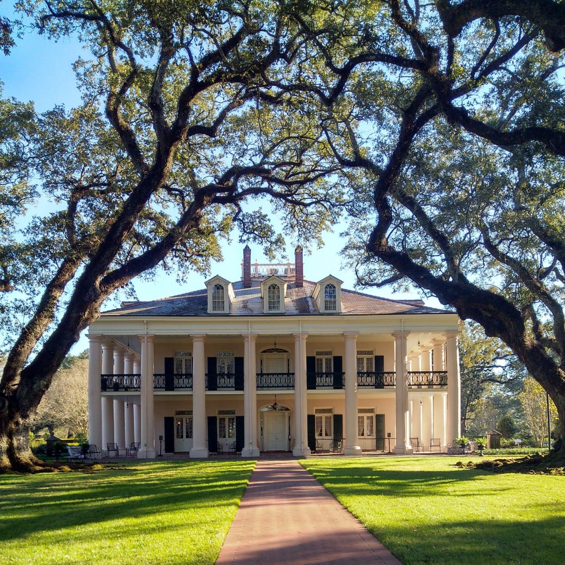 Les plantations du bayou