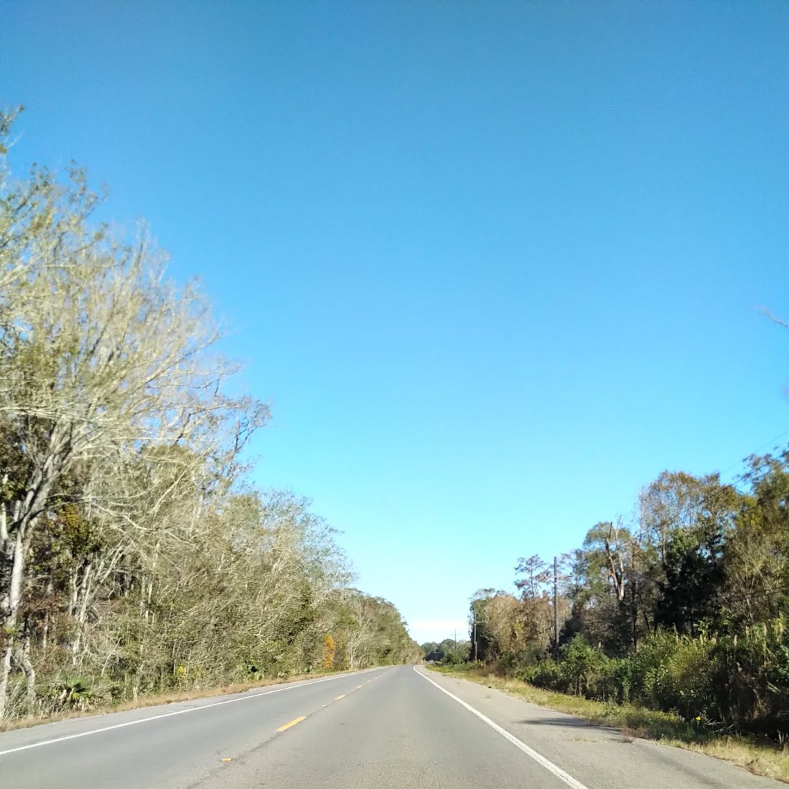 Les routes dans le bayou