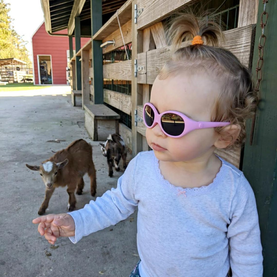Louise et les chèvres