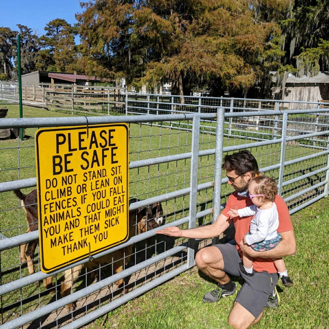 Nourrir les animaux de la ferme