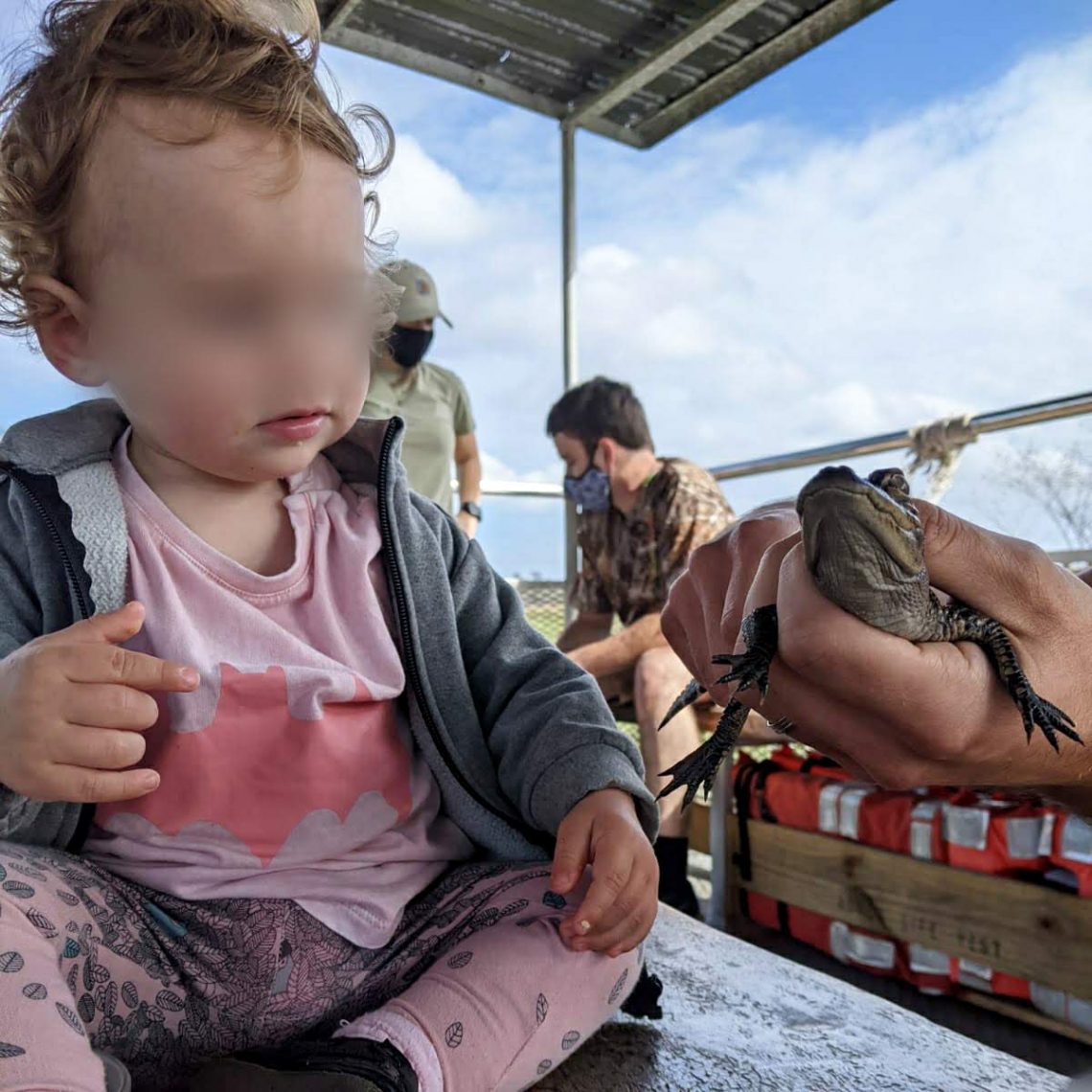 bebe et le crocodile