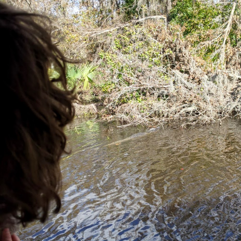 bebe regarde le crocodile