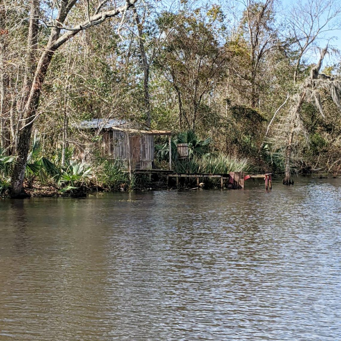 cabane sur le bayou