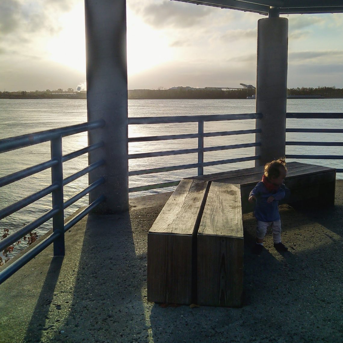 grandes maisons de la nouvelle orleans