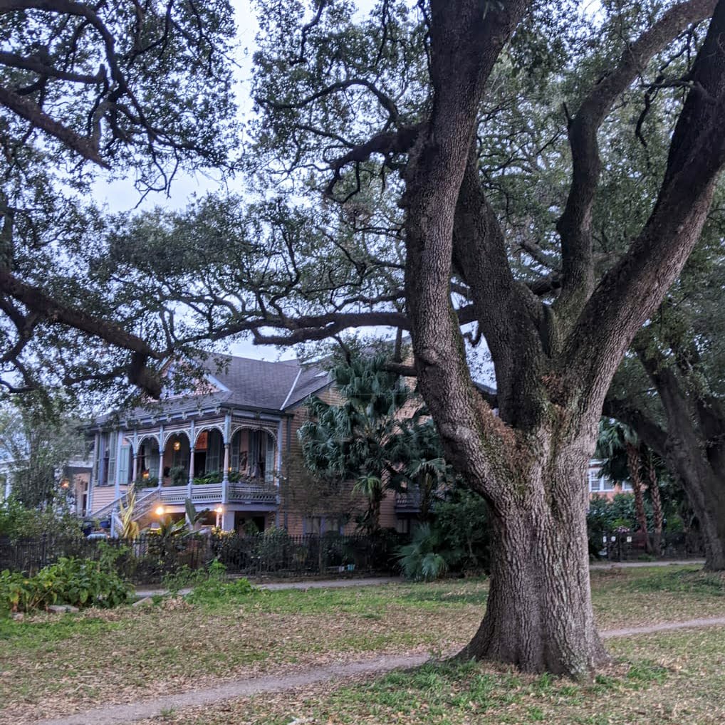 grandes maisons de la nouvelle orleans
