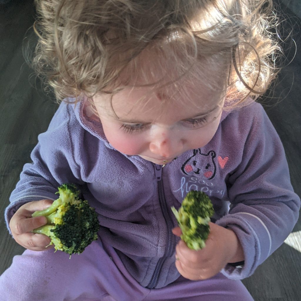 La Diversification Alimentaire Tiny Little Globetrotteuse