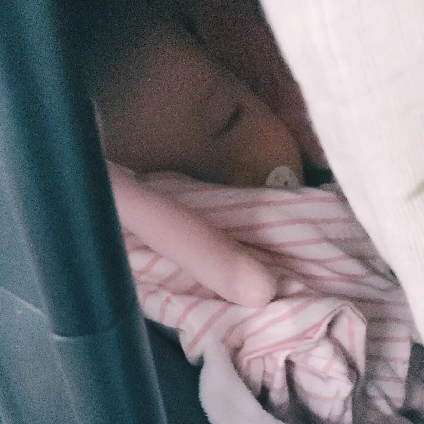 Sasha qui dort en voiture