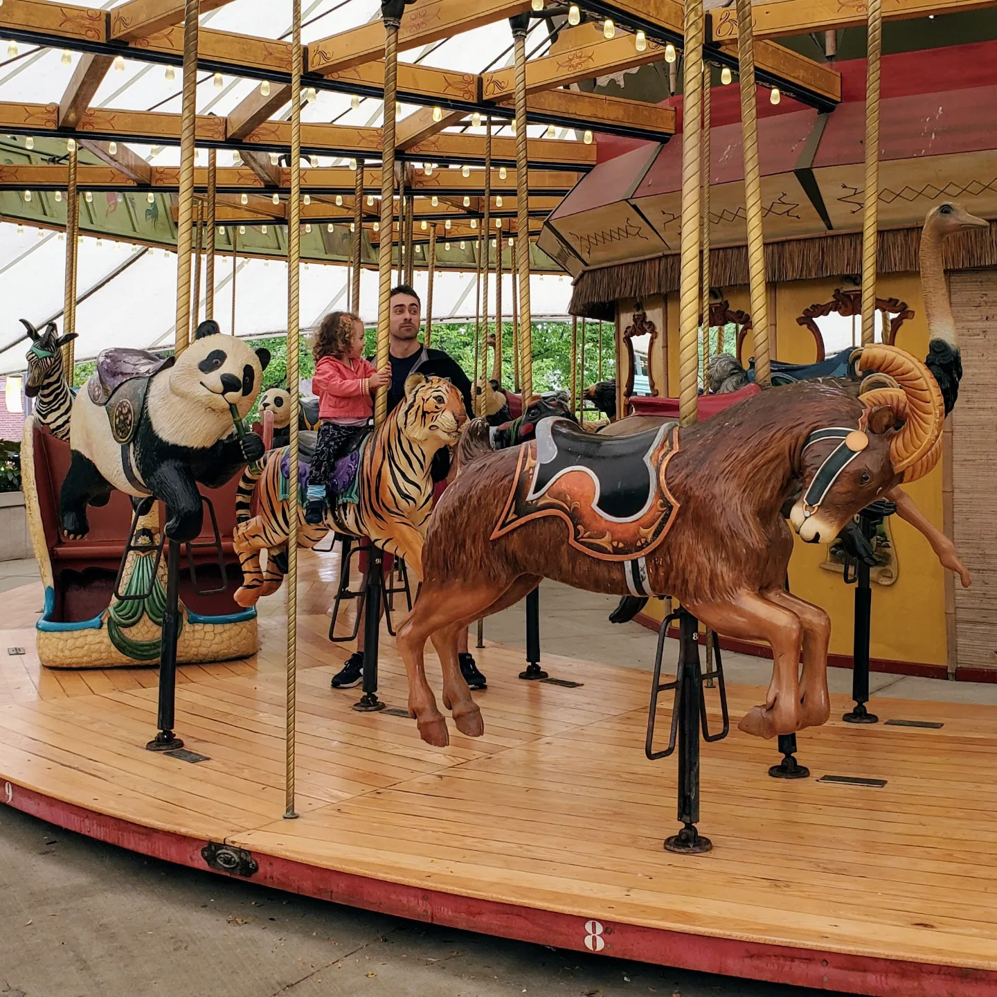 Un tour de manège au Lincoln Park zoo pour ton anniversaire