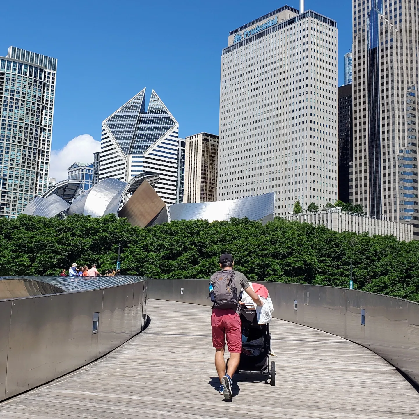 Le Millenium Park Chicago