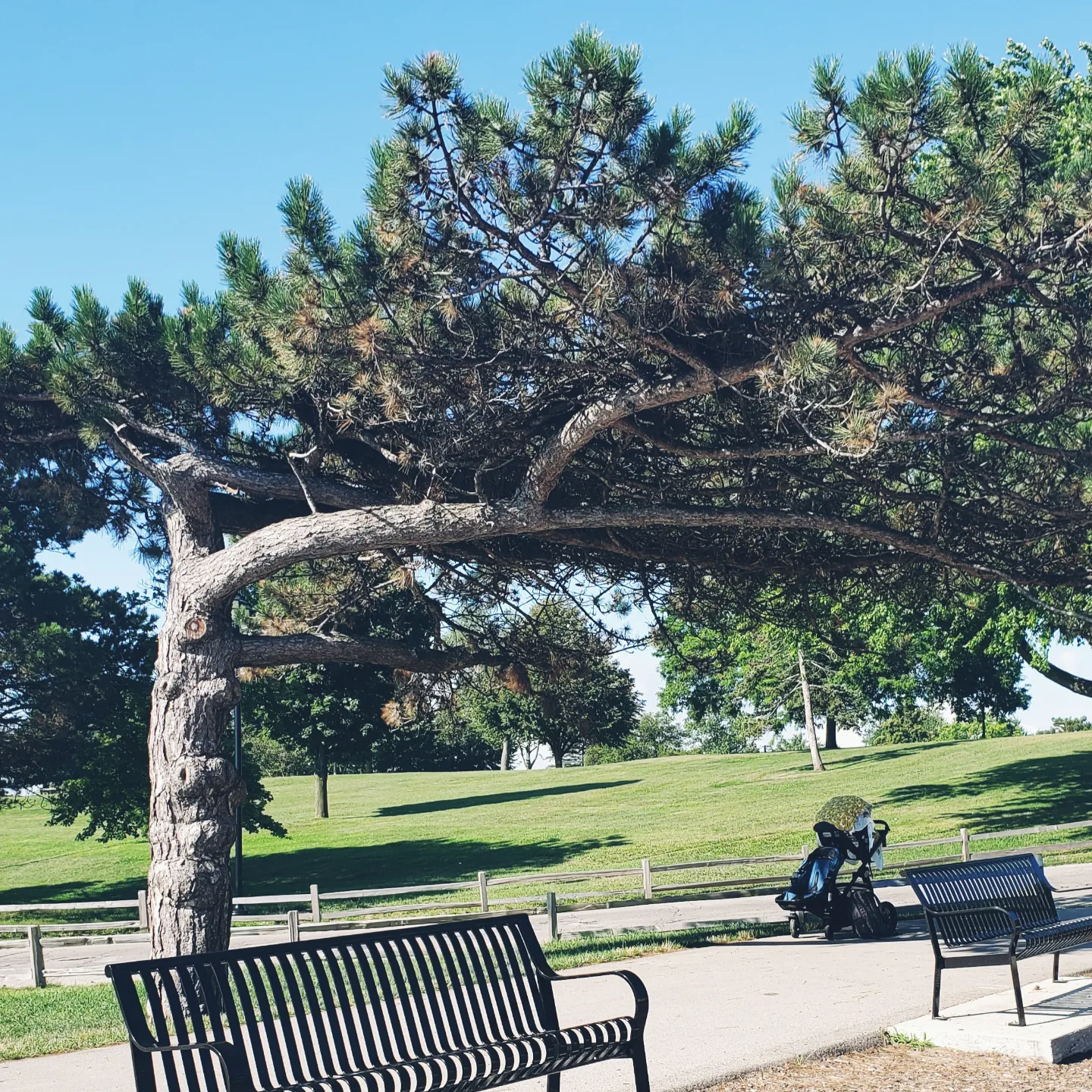 Bébé dort à l'ombre dans sa poussette