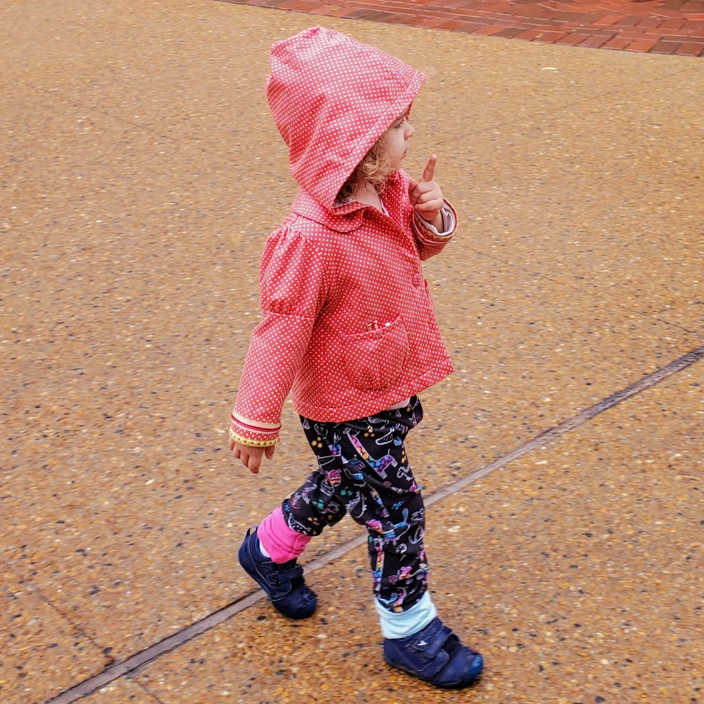 Le zoo gratuit de chicago au Lincol Park