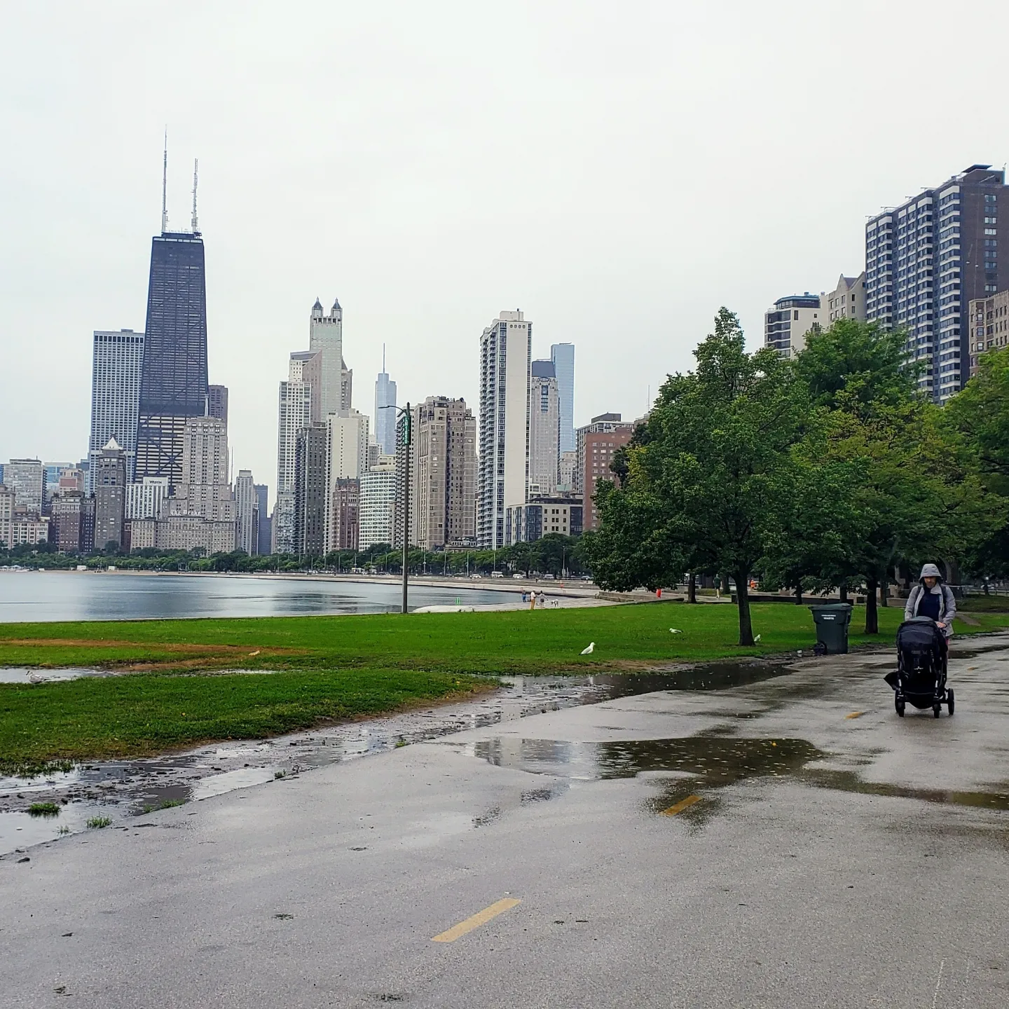 Vue sur la Skyline de Chicago