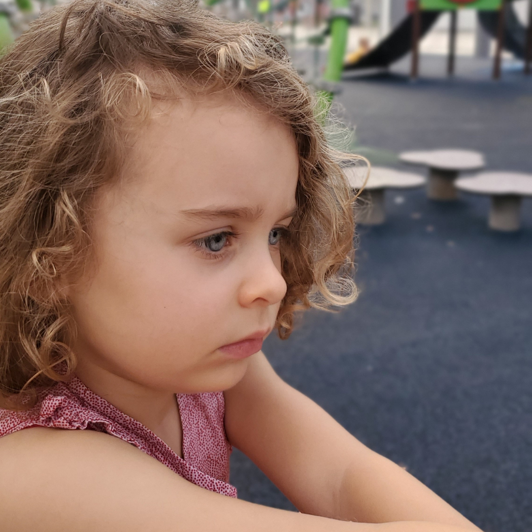 Loulou blessée en voyage