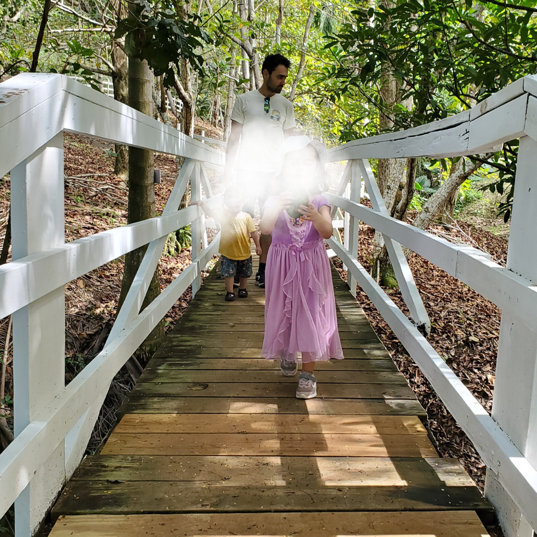 Randonnée dans la jungle