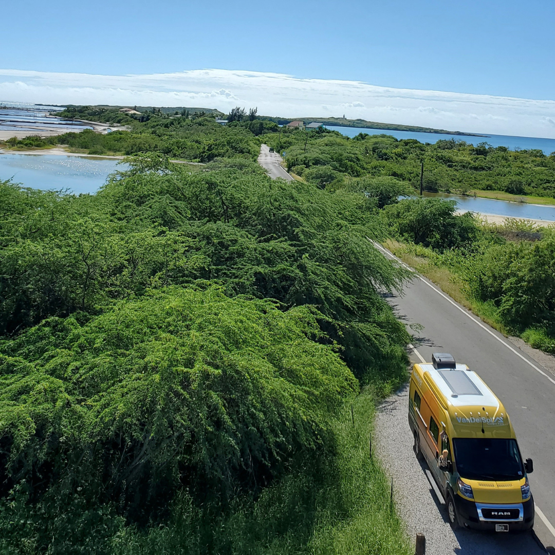 Sunny notre van d'amour