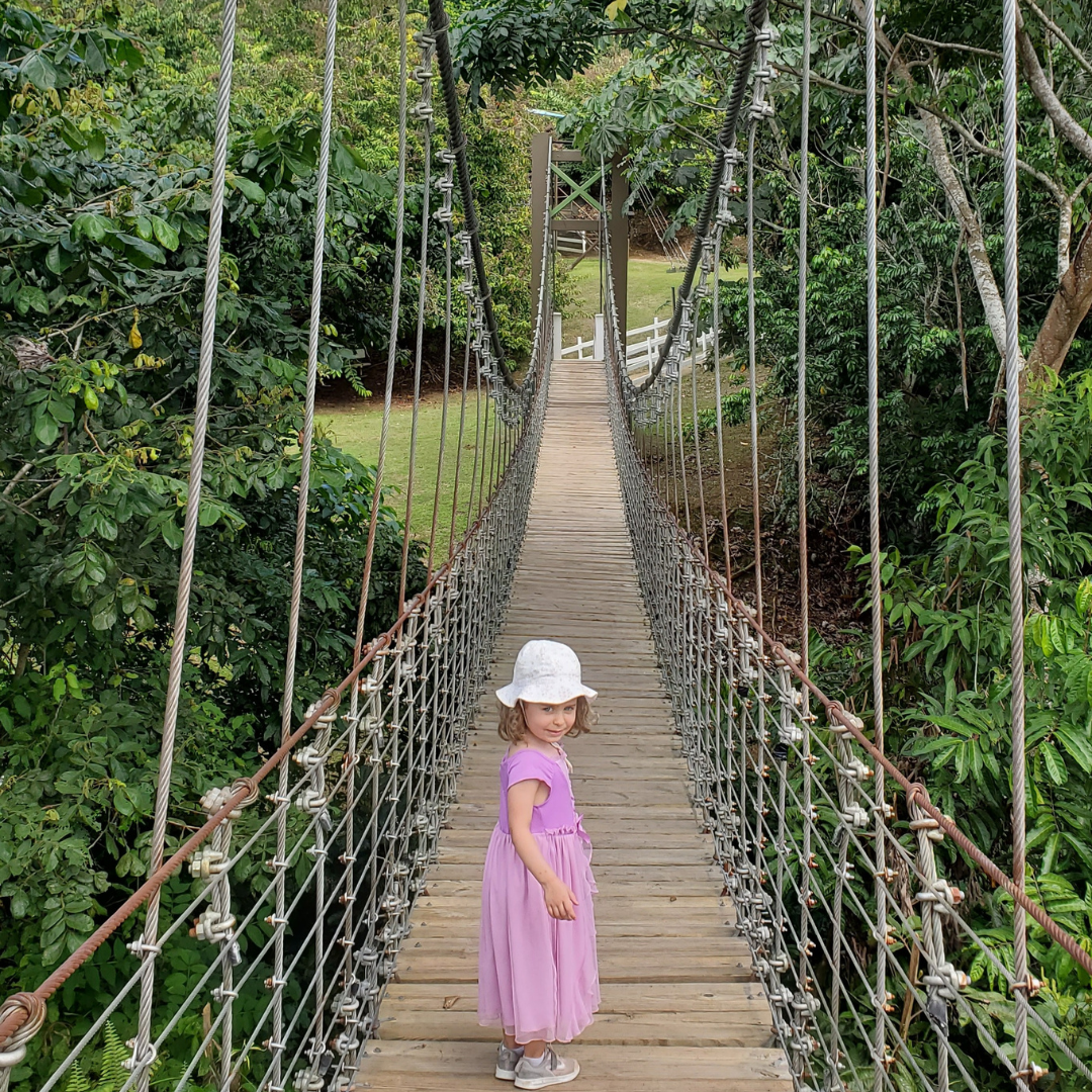 Passage sur un pont suspendu