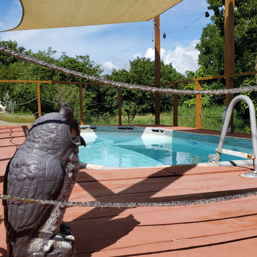 Glamping avec piscine