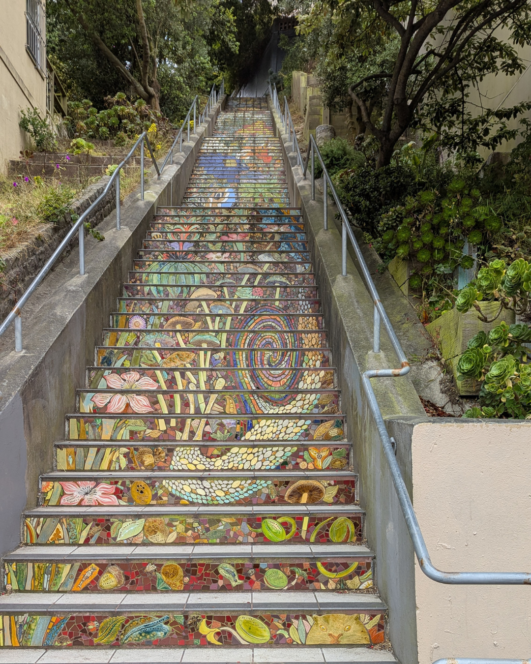escaliers urbains sam francisco