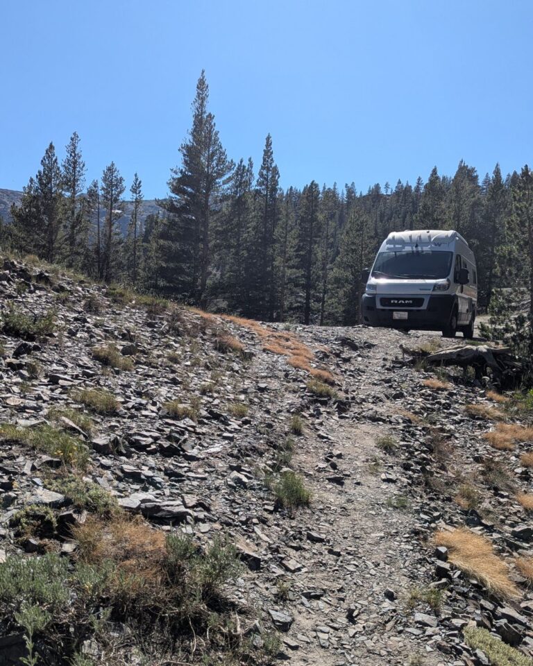 Parfait spot de camping sauvage