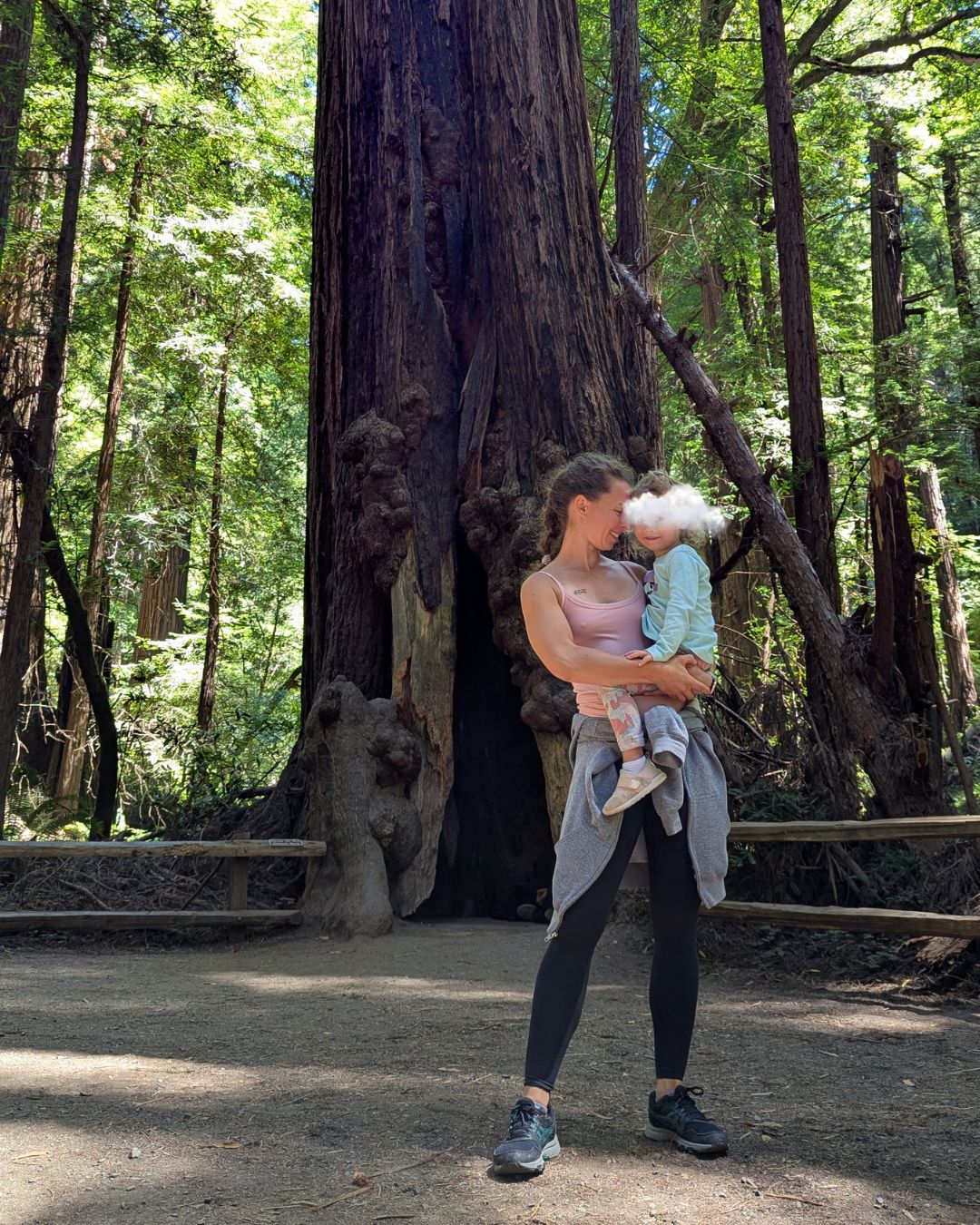 sequoias rouges geants