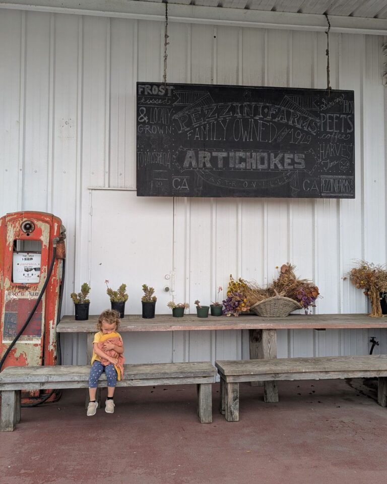 Le pays des artichauts